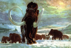 Mammoths