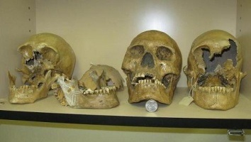 Skulls
