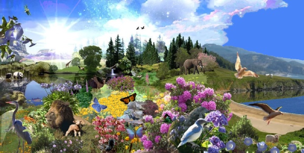 Impression of the Creation