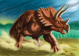 Triceratops