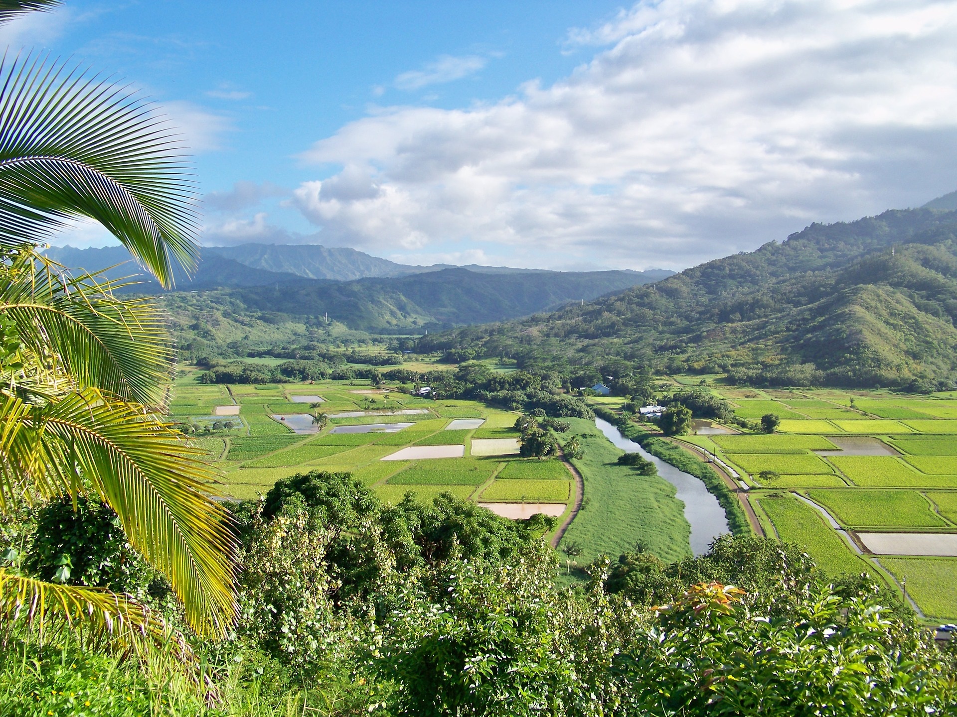 Hawaï